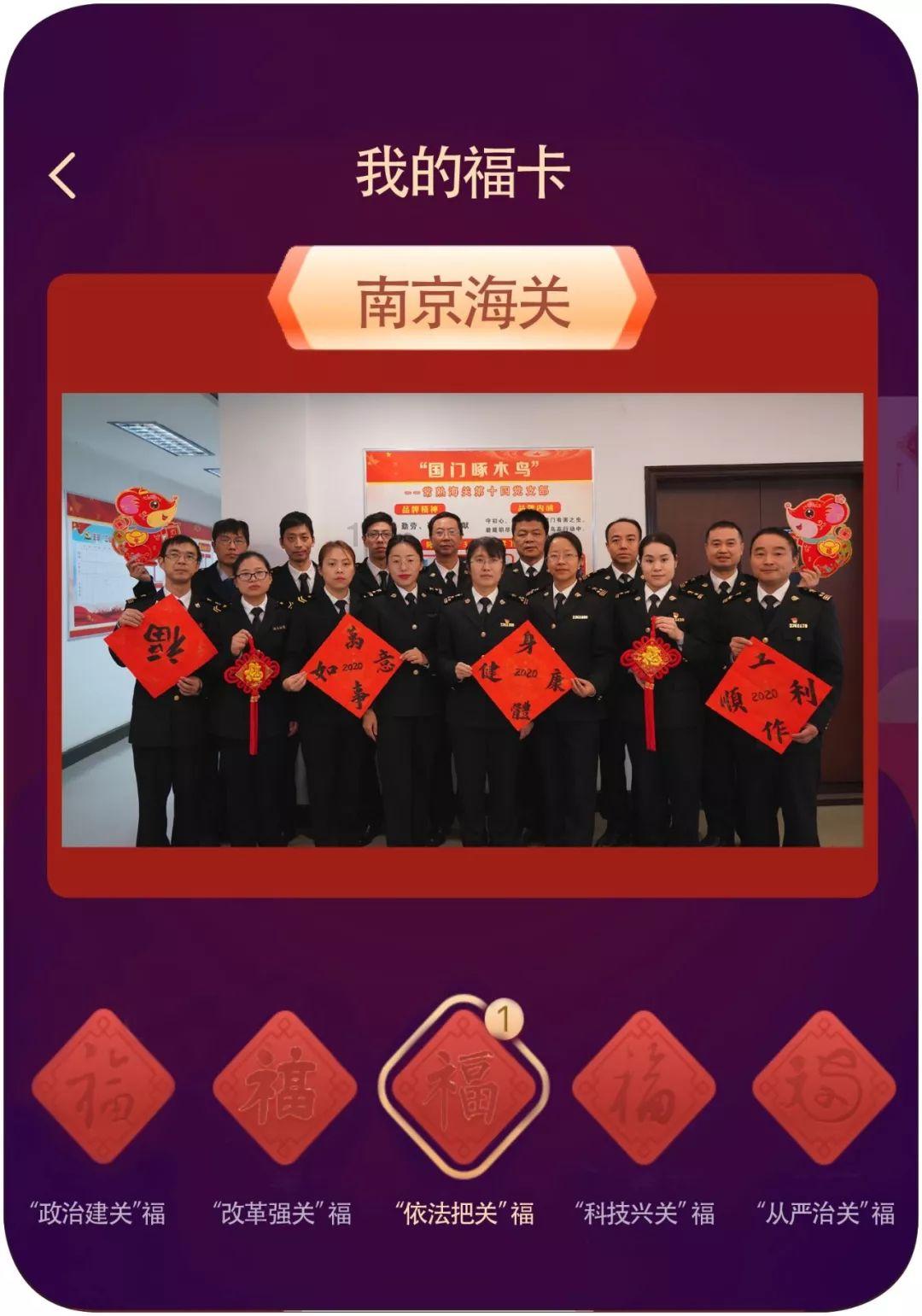 救援狗与猫