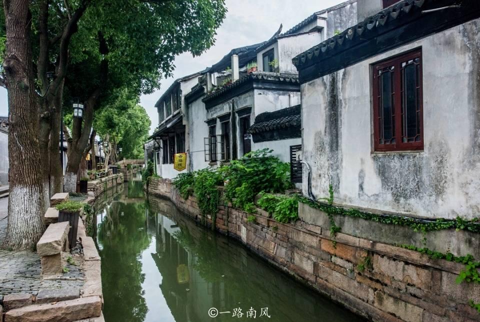 《小红花》票房超10亿，小红花爆红的原因有哪些？游戏画面